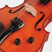 Picture of Stentor 1515A | Electric Acoustic 4/4 Violin Outfit