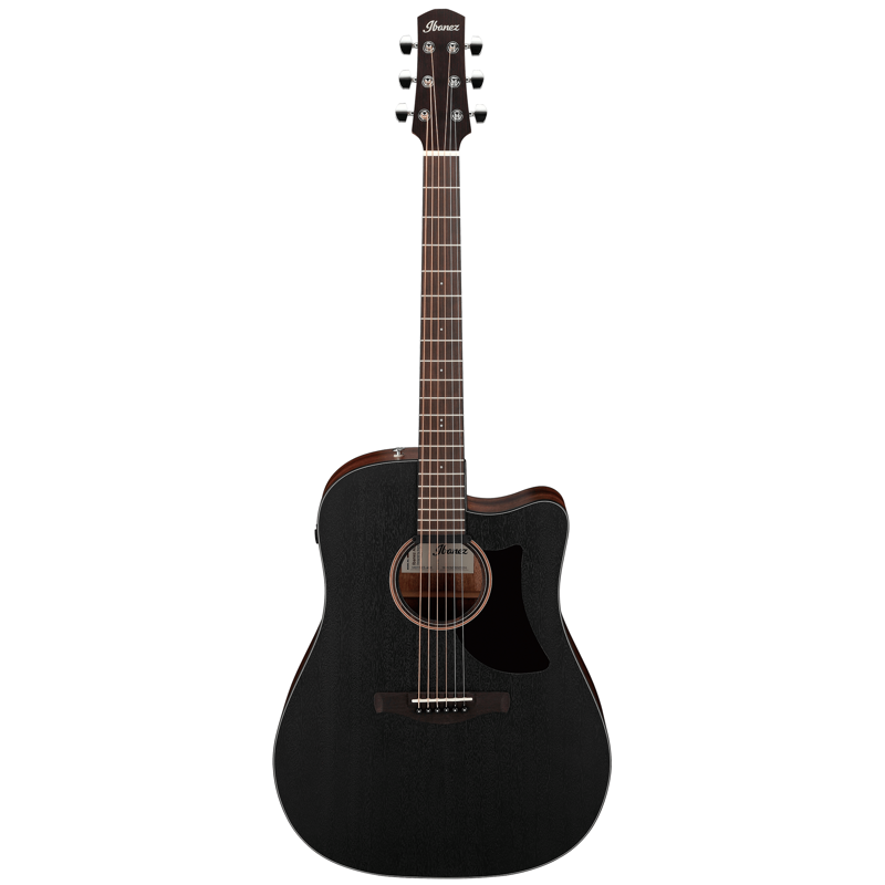 Ibanez AAD190CEWKH Acoustic Front