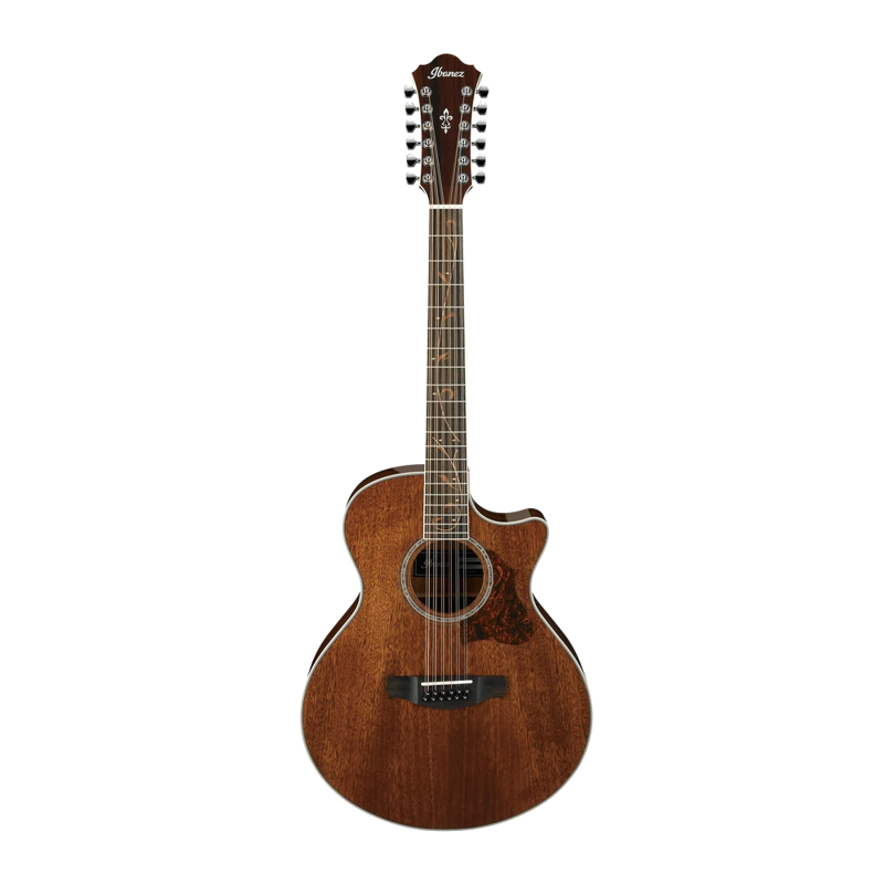 Ibanez AE2412NT 12 String Acoustic Electric Front