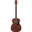 Ibanez PCBE12MH-OPN Acoustic Electric Bass Guitar
