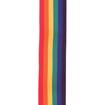 Planet Waves PWS111 | PolyPro Guitar Straps (Rainbow) 2