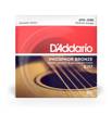 D'addario EJ17 | 13-56 Medium Acoustic Strings