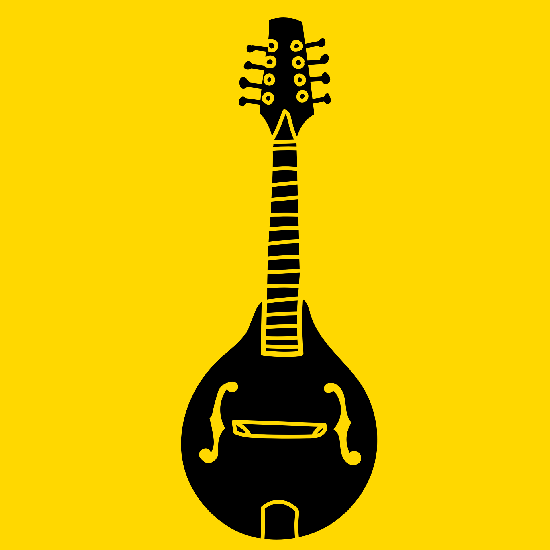 Picture for category Mandolins