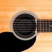 D'addario PW-SH-01 | Screeching Halt Feedback Suppressor 2