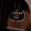 Guild A-20 | Bob Marley Dreadnought Acoustic Guitar (Natural) 5