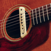LR Baggs M1A | Body Sensitive Magnetic Pickup 3