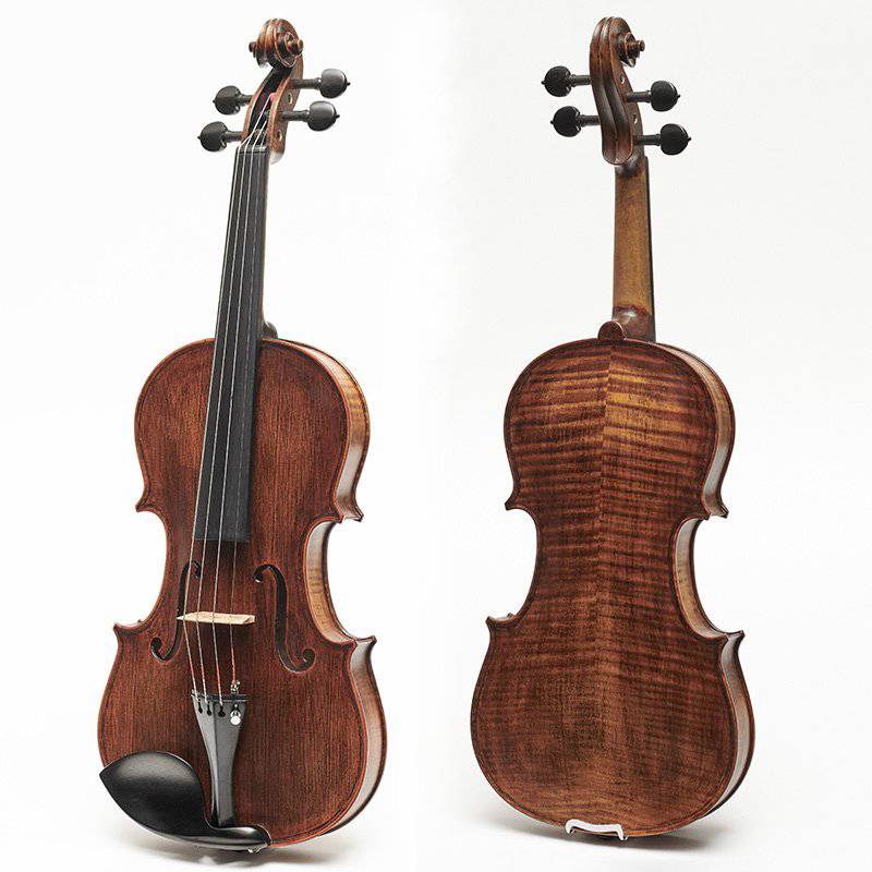 Stentor Arcadia | 4/4 Handmade Violin (Antique finish)