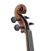 Stentor Arcadia | 4/4 Handmade Violin (Antique finish)