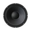 Wharfedale WPW15 300 | 15" Replacement Speaker Driver