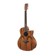 Tanglewood TWX6CEPW | Acoustic Electric Guitar (Winterleaf Exotic)