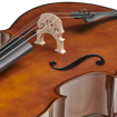 Stentor Student II | 1/2 Cello Outfit
