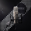 Rode NT1 5th Generation | Studio Condenser Microphone