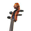 Stentor Arcadia | 4/4 Handcrafted Cello