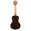 Kala ZCTC | Ziricote Gloss Concert Ukulele