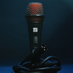 sE Electronics V2 Switch | Multipurpose Dynamic Mic