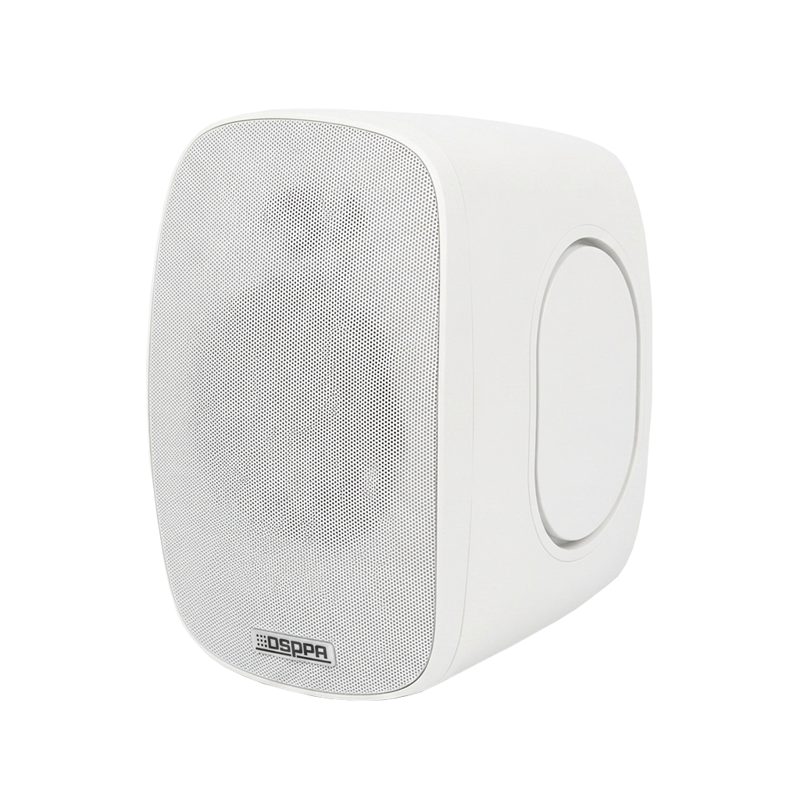DSPPA DSP6050W | Outdoor Waterproof Wall Mounted Speaker