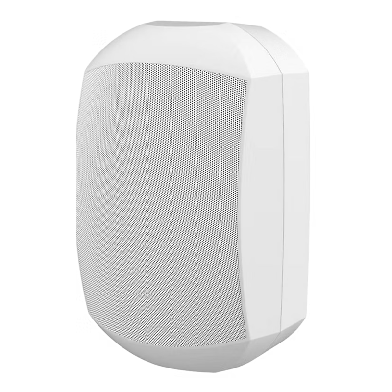 Powerworks PW-6IP66 | 6.5" 60 watt All Weather Wallmount Speaker (White)