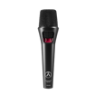 Austrian OD303 | Dynamic Vocal Microphone