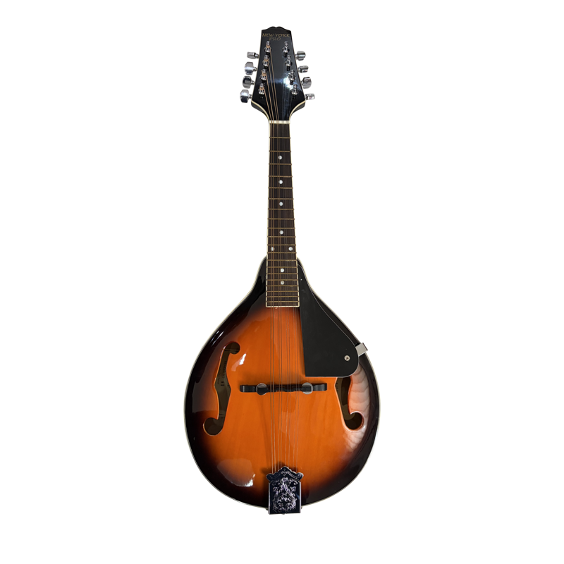 New York Pro M1 | Mandolin Including Case (Pre-Owned)