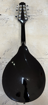New York Pro M1 | Mandolin Including Case (Pre-Owned)