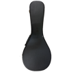 New York Pro M1 | Mandolin Including Case (Pre-Owned)